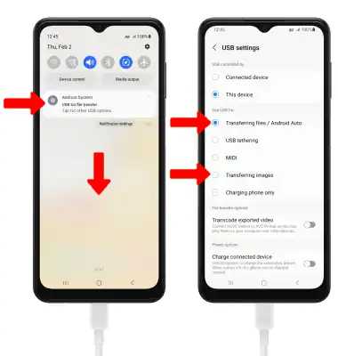 2-usb bark phone.webp