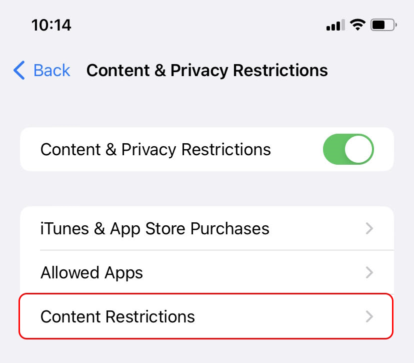 How to Monitor Safari Browsing on iOS Bark