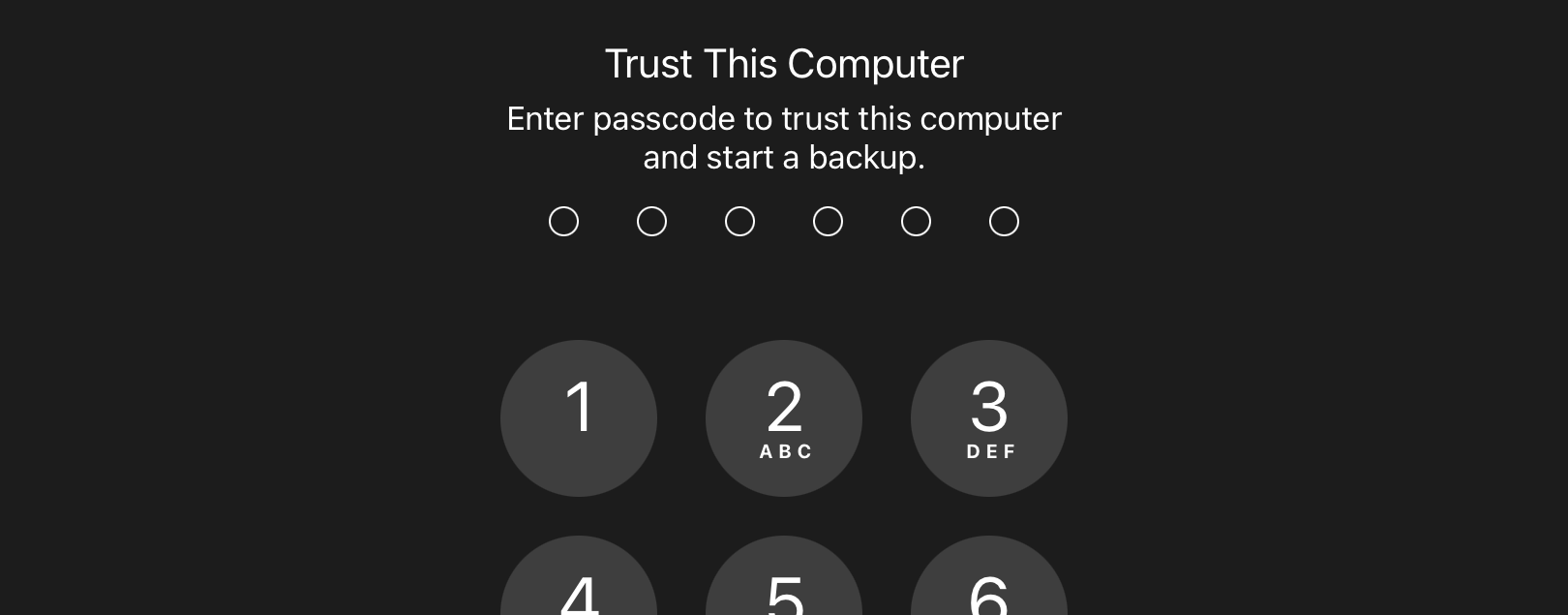 cropped trust computer ios 16-1.png