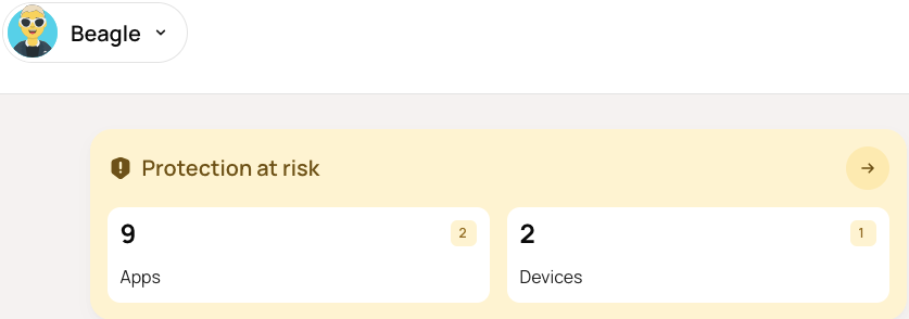 new UI Protection at risk.png