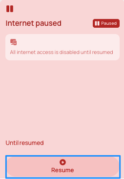 new UI resume.png